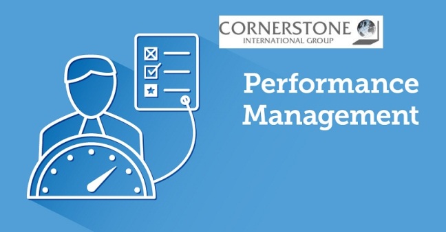 Performance Management Consultants - The Driving Force For Productivity